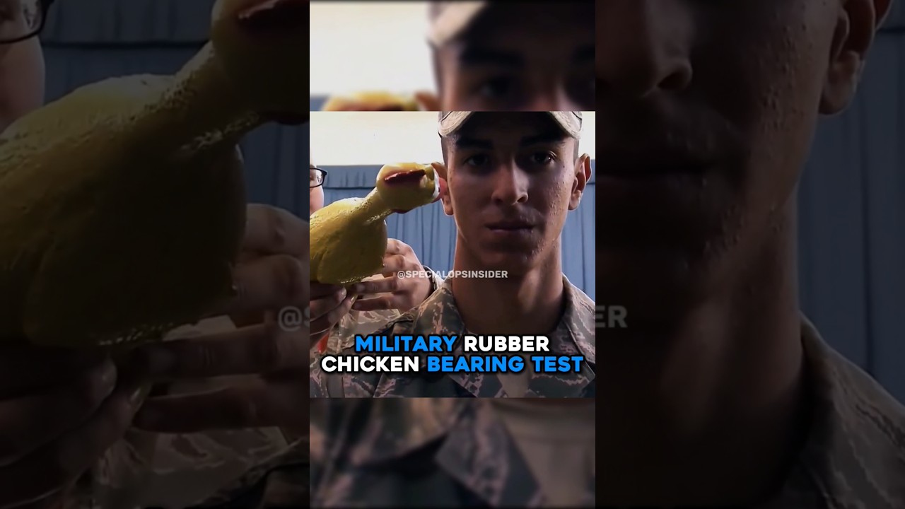 Military Rubber Chicken Bearing Test