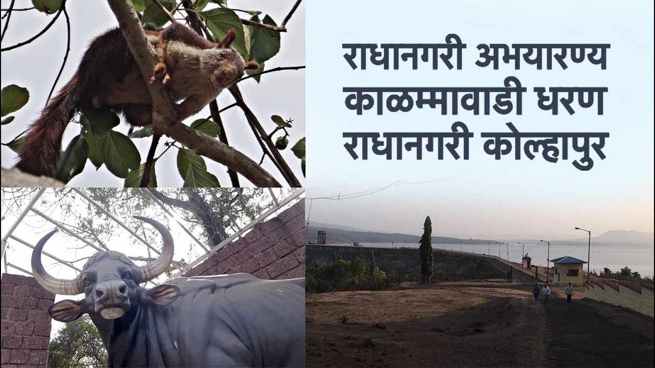 राधानगरी अभयारण्य व काळम्मावाडी धरण, राधानगरी, कोल्हापुर / Radhanagari Forest and  Kalammawadi Dam