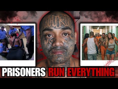 The Insiders Guide To Dickinsons Jail Roster