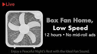 NO ADS | FALL ASLEEP FAST | Box Fan Home Setting Low Speed for Deep calm, Study, Focus, Study