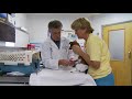 The Pros and Cons of Pet Insurance
