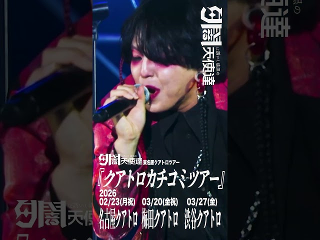 【驚安の殿堂】1000円チケット有り!!東名阪クアトロツアー開催!!【#shorts】#夕闇に誘いし漆黒の天使達 #バンド