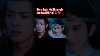 Teri Mohabbat Se Ek Baat Sikhi Hai wangxian bl wangyibo xiaozhan weiwuxian lanwangji