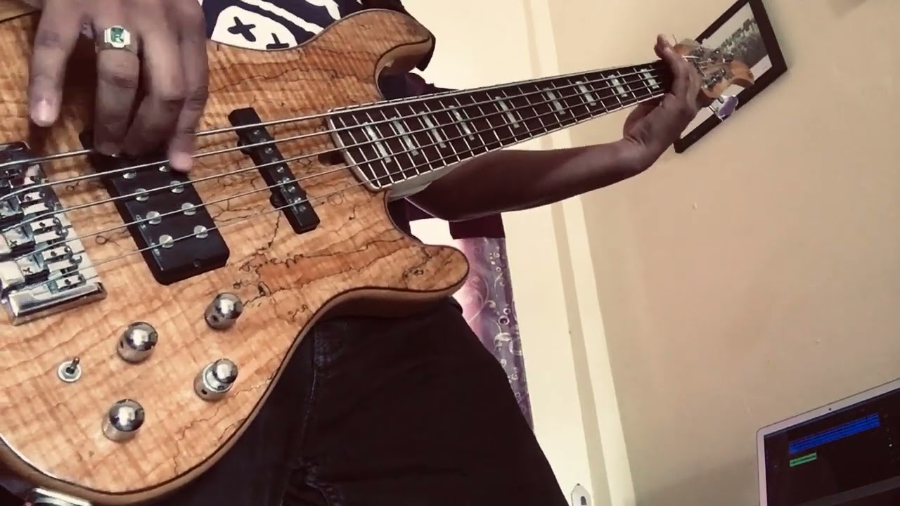 Ranggi Metropolis wings Bass cover-ENJOY