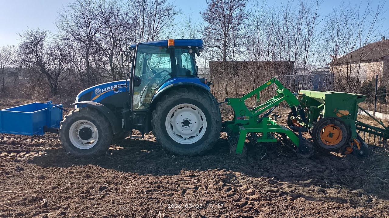 Późny? Siew owsa 2026