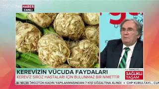 Prof. Saraçoğlu ile Sağlıklı Yaşam 03.02.2018