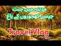 Exploring Madinah Hidden Date Palm Gardens | Madinah City Tour | Travel Vlog | Yasin Khan