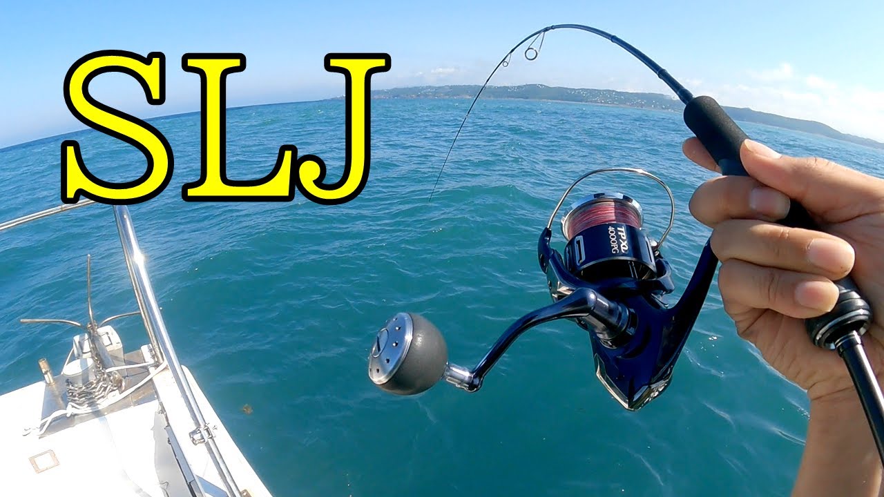 ＳＬＪ満喫しました。やっと釣れました。よく釣れました。ASMR