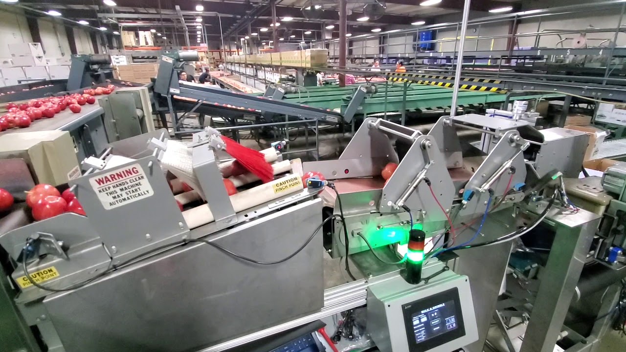 Bulk and Dribble weigher