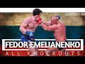 Fedor emelianenko  all knockouts 2019