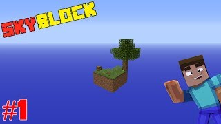 Let's Get Started! | Minecraft Skyblock Timelapse | Episode 1