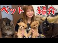 【初公開】今まで内緒にしていた家族を紹介します!