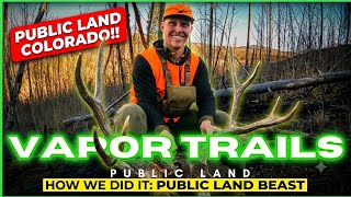We shot a GIANT public land buck while packing out! Two bucks down! Mule Deer Hunting in Colorado