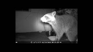 DSCF0047