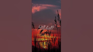 تلاوة خاشعه 🍂🎧#قرآن #قران_كريم #quran #اكسبلور #المصحف #تلاوة_خاشعة #راحة_نفسية #لايك #trending