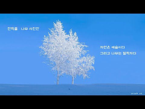 #사의찬미#전학출 #스트레스해소음악  #양희순색소폰연주 #윤심덕 #Tree photo#마음치유하는음악#슬픈 차분한음악#Korea Saxophonist#Korea land-scape