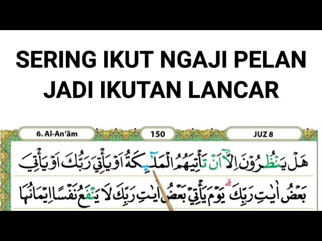 Ngaji pelan mudah ditiru // Murottal surah al an am ayat 158-165 class=