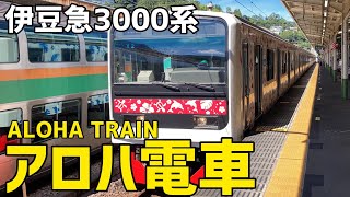 🟥伊豆急３０００系　アロハ電車！　元ＪＲ東日本２０９系が新たな地で活躍　Izukyu 3000 Series Aloha Train!