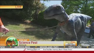 Dinosaur Day