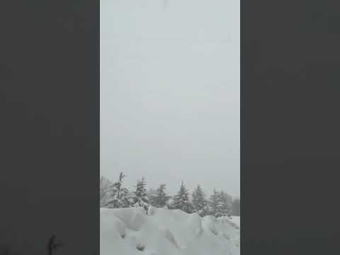 #shorts #murree #malam A beautiful place of Malam Jabba