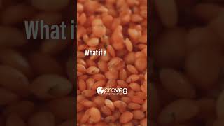 What Is A Complete Protein?