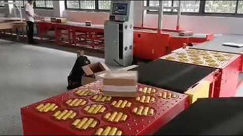 Automated parcel sorting machine