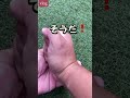僕はメダカ飼育が趣味のただの40代のおじさん #メダカ