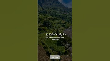 تلاوة خاشعة ومؤثرة بصوت هارون الوليد #trending #اكسبلور #الرحمن #قرآن #لايك #العظماء