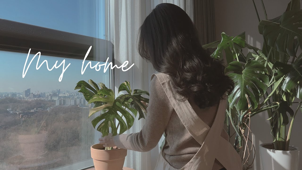 Квартира с видом на многоэтажку + Тур по комнатным растениям