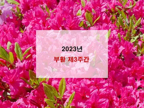 영상썸네일