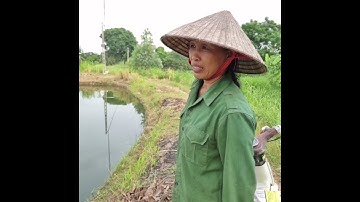 ĐIỀU TRỊ BỆNH CÁ TRẮM CỎ ĐEN ĐẦU