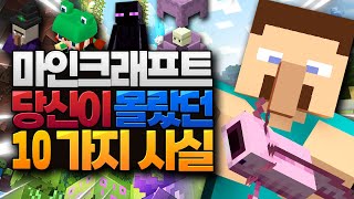 주민 코 체험하는 방법!! 마인크래프트의 신기한 10가지 사실들 3편 (Minecraft) [블루위키]