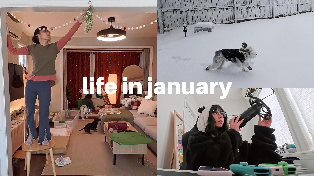 ❄️ JANUARY VLOG ♡ xmas takedown and winter storm fern | Insta360 GO Ultra