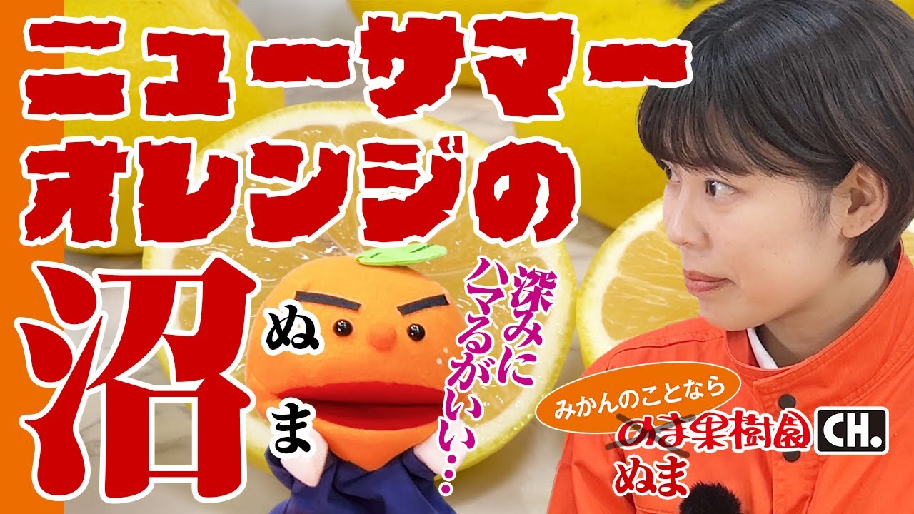 みかんさませんよう You too will be captivated by its fluffiness] The New Summer