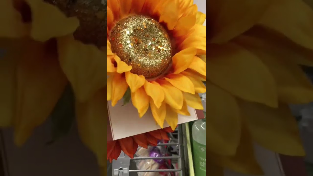 Affordable Fall Decor Ideas 