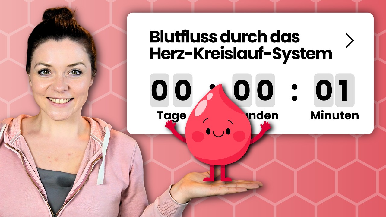 Der Blutfluss durch das Herz & die Gefäße | Herzaufbau & Herz-Kreislauf-System endlich verstehen