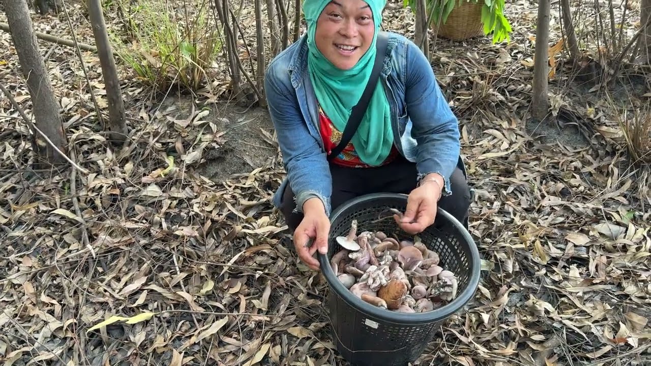 เห็ดออกเกินคาดสุดๆไม่คิดไม่ฝันว่าจะเจอเห็เยอะขนาดนี้ เห็นแล้วถึกับอึ้ง