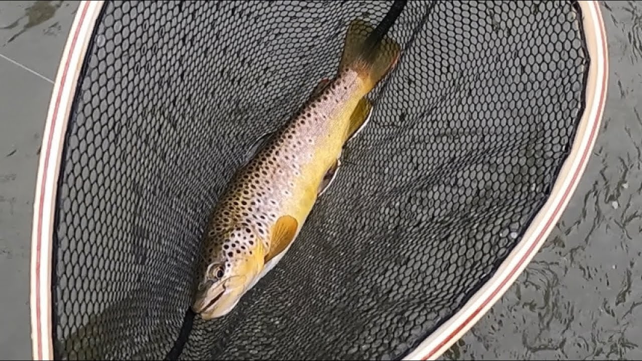 Fly Fishing Central PA, "SPRING CREEK, STILL ONE OF THE BEST!!”, March