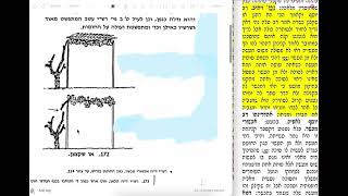 דף יומי מסכת סוכה דף יא Daf yomi Succa daf 11 שמואל נבון