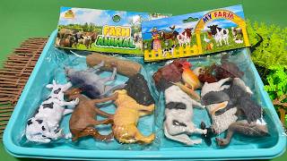 Satisfying ASMR Unboxing & Diorama Build 🐄 Farm Animal Toys Mini World