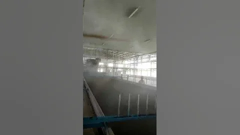 Tea Fermentation Processing