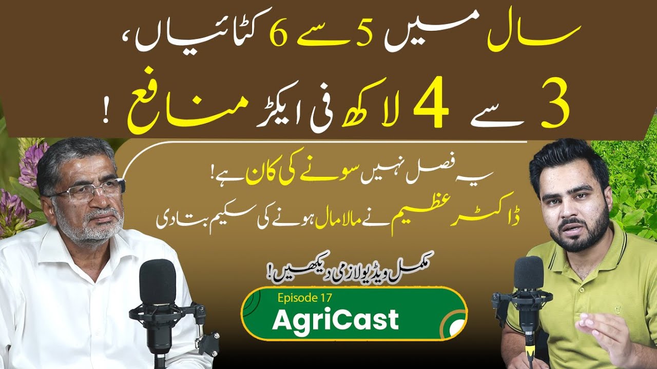 What is Alfalfa/Lucern? Kya Yeh Fasal Kissan Keleye Umeed Ki Kiran Hai? | AgriCast Special EP 17