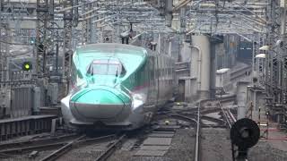 (4K) JR東日本 E5新幹線 U31 10輛編組