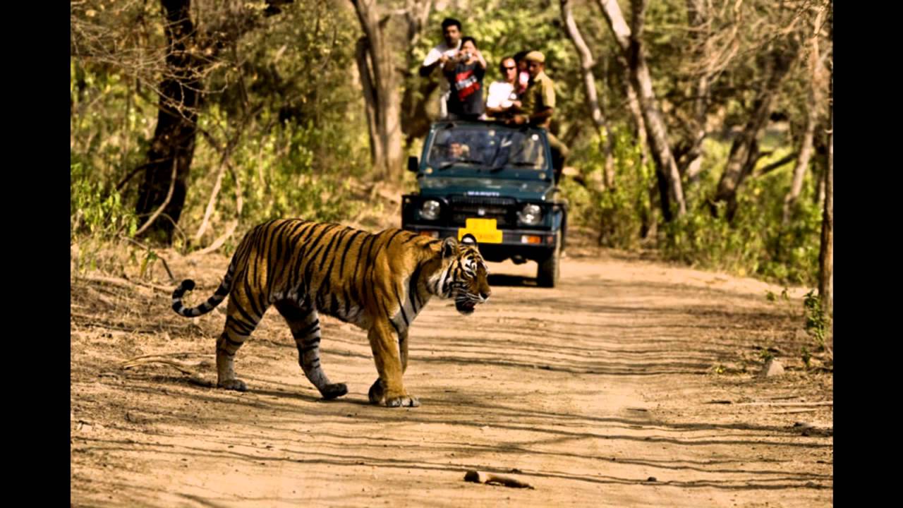 We Welcome you to Kanwhizz Hum-Tum Resort.....