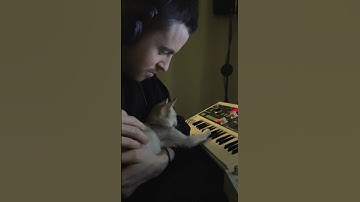 MICROKORG & MICROCOSM SESSION + SINGAPURA CAT