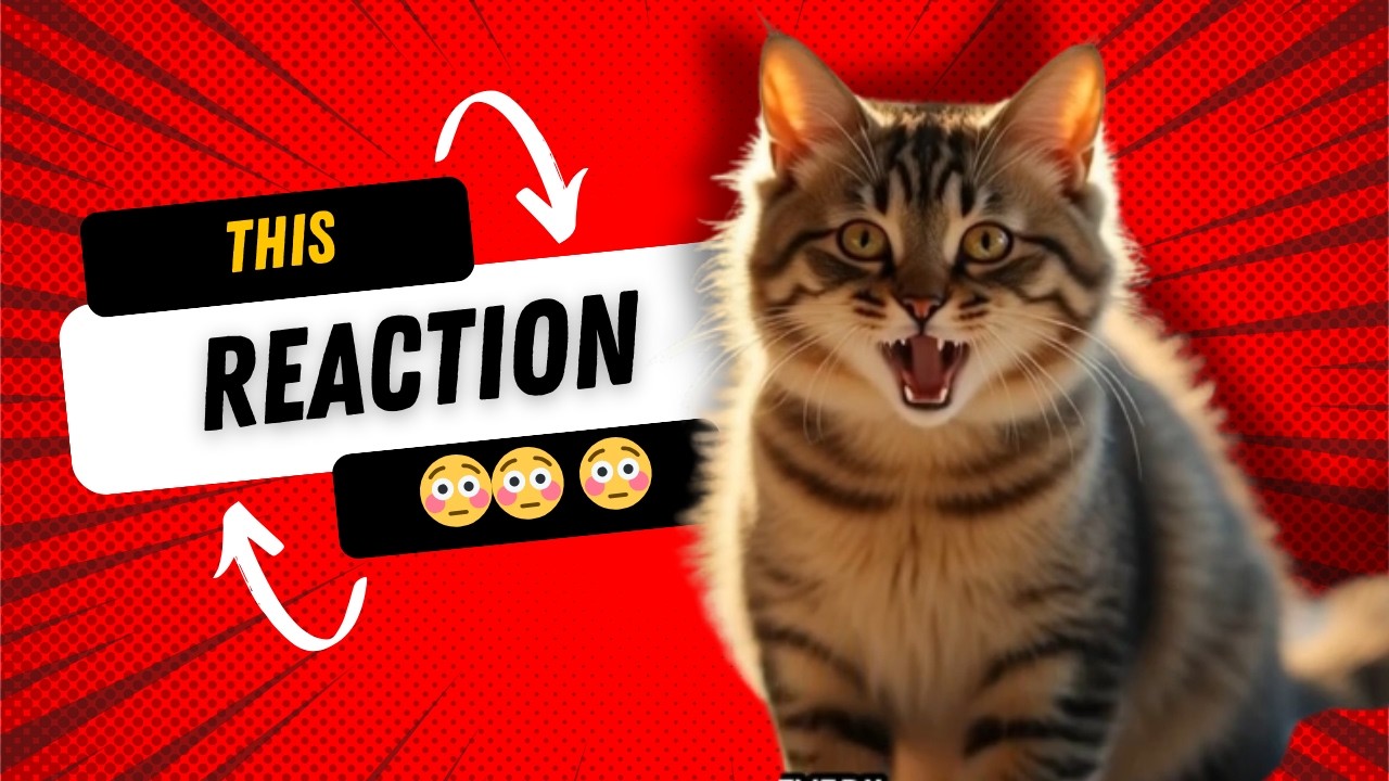 My Pet's Hilarious Meltdown  The Disappearance Prank!