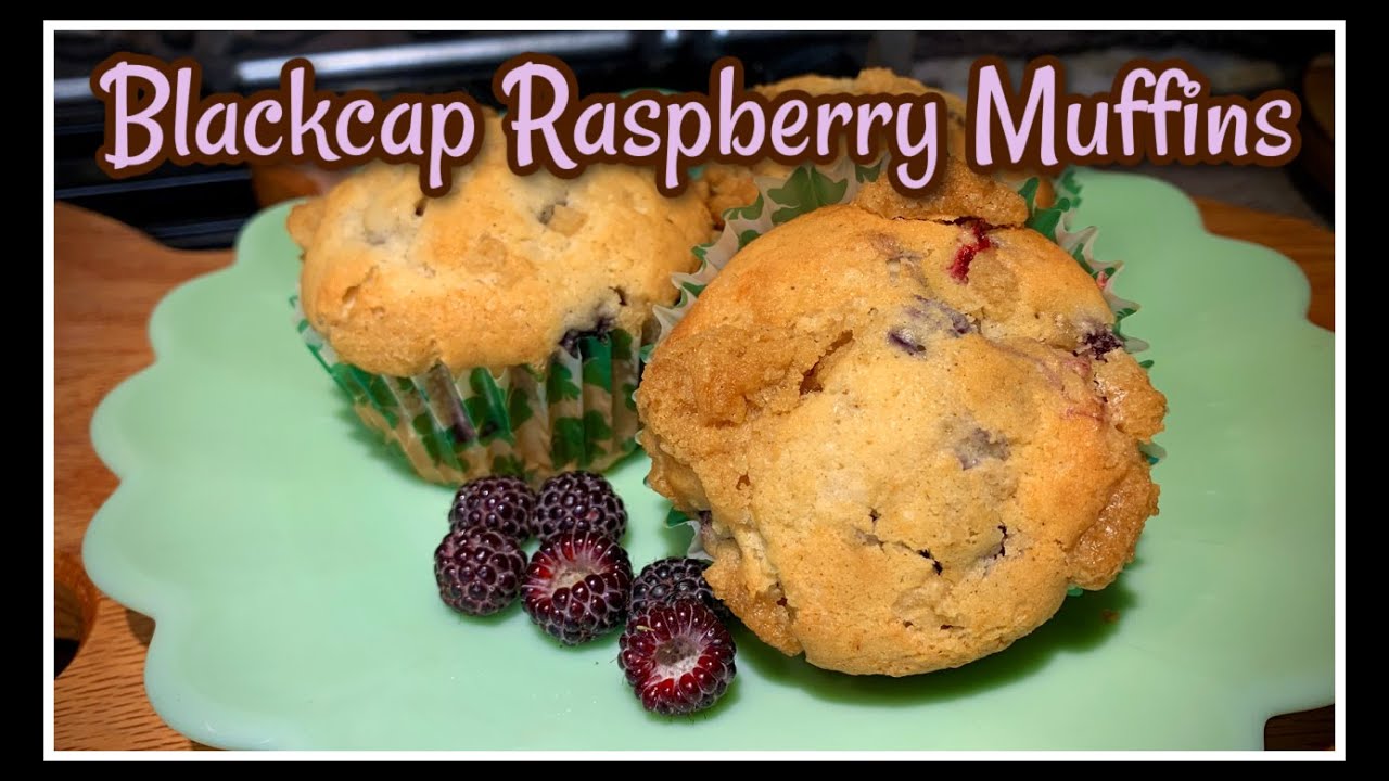 💜 Forage Blackcap Raspberries & Make Delicious Muffins! - YouTube