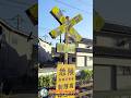 【踏切 電車】なにが通るかな???【ふみきりショート動画296】 #shorts
