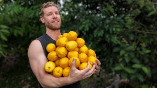 Download Lagu What Do You Do With THIS Many Lemons? MP3