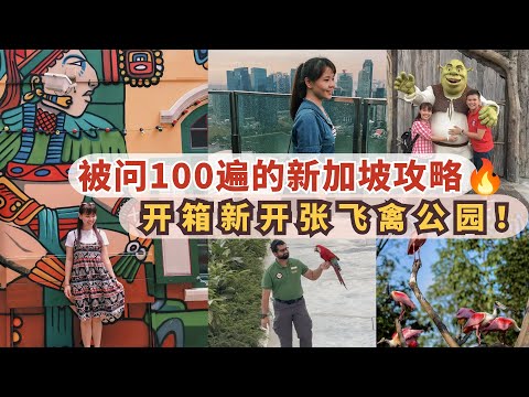 新加坡旅游2023 ｜ 新加坡新开张飞禽公园｜新加坡自由行攻略｜新加坡道地美食